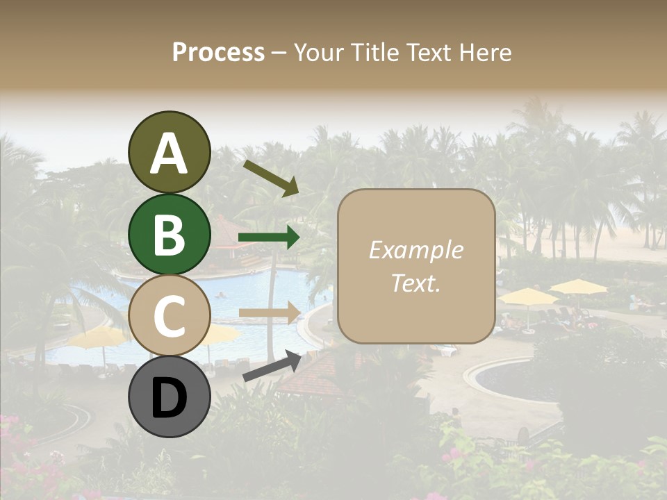 Equator Tree Investment PowerPoint Template