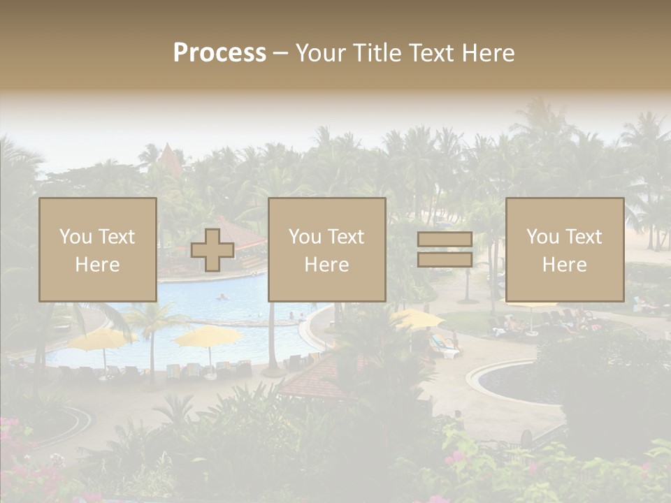 Equator Tree Investment PowerPoint Template