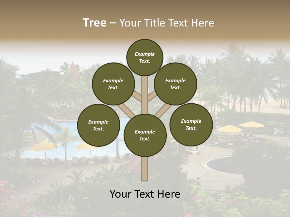 Equator Tree Investment PowerPoint Template