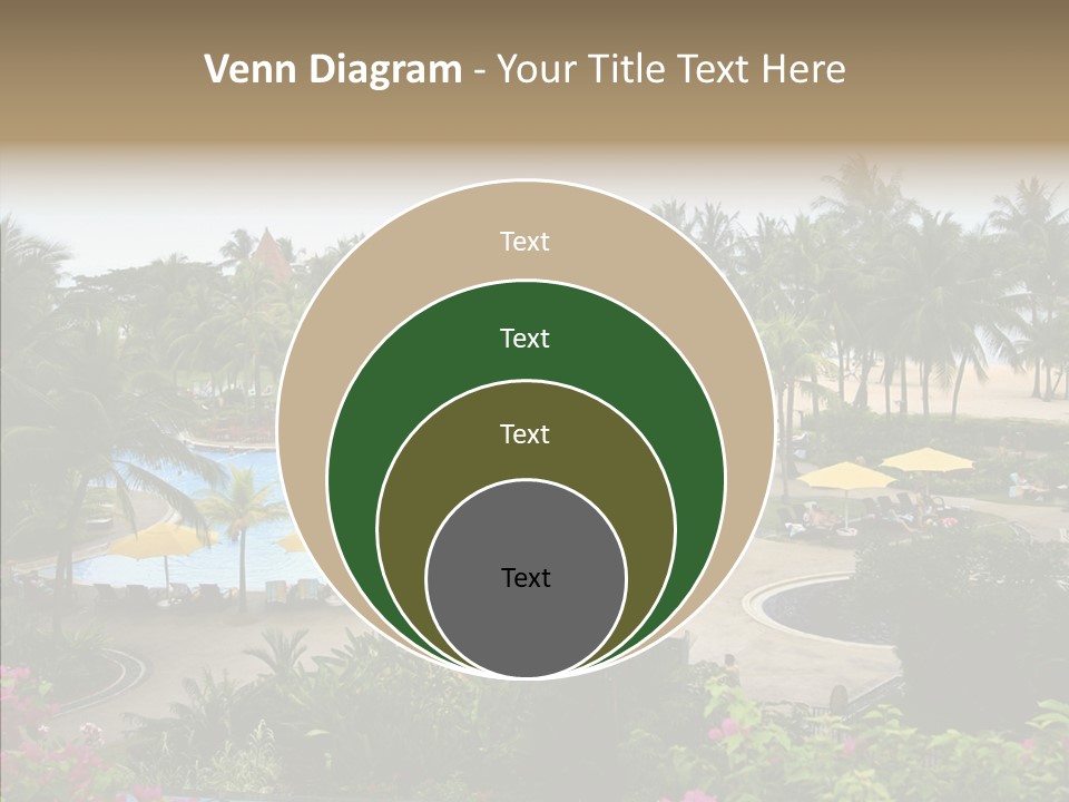 Equator Tree Investment PowerPoint Template