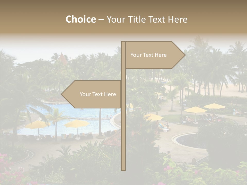 Equator Tree Investment PowerPoint Template