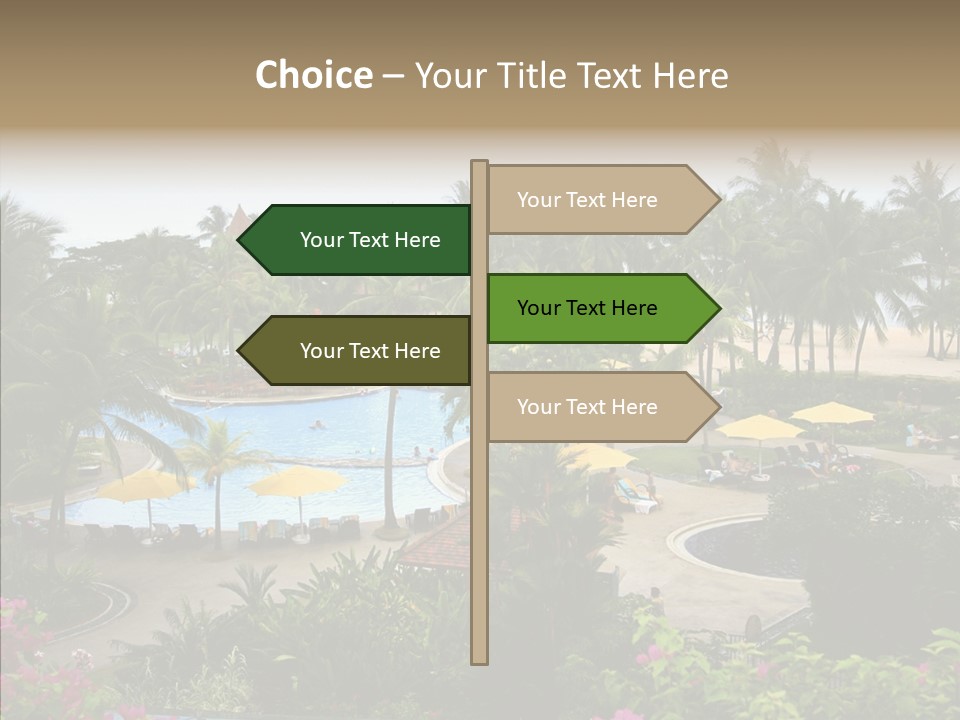 Equator Tree Investment PowerPoint Template
