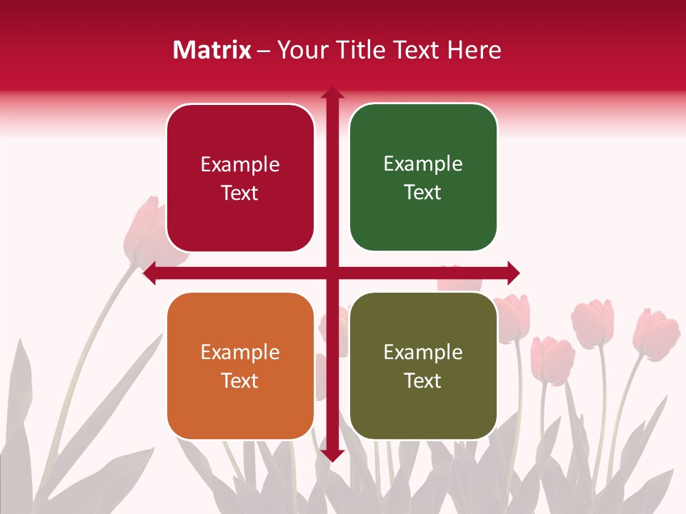 Dutch Isolated Color PowerPoint Template