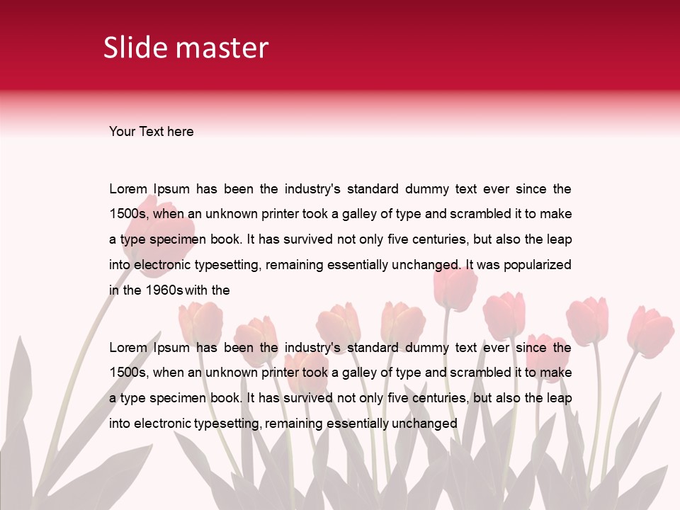 Dutch Isolated Color PowerPoint Template