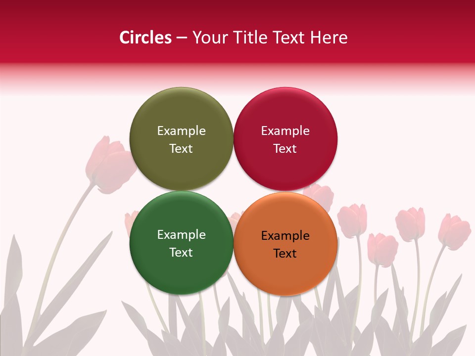 Dutch Isolated Color PowerPoint Template