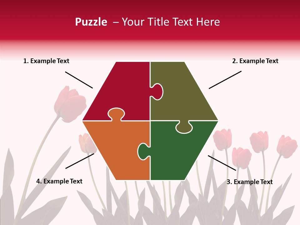 Dutch Isolated Color PowerPoint Template