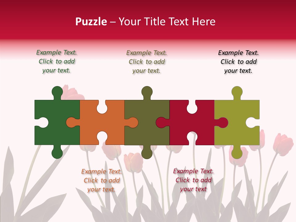 Dutch Isolated Color PowerPoint Template