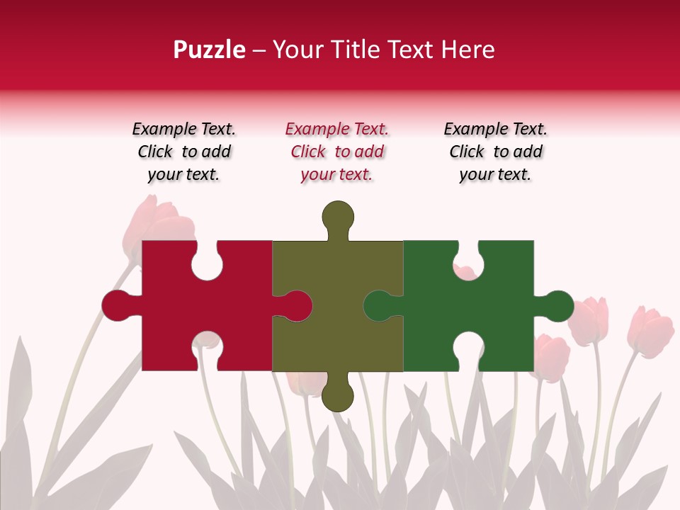 Dutch Isolated Color PowerPoint Template