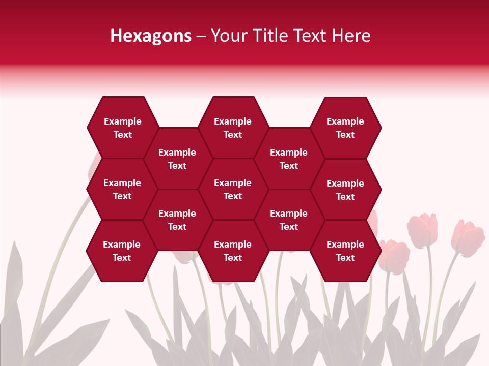 Dutch Isolated Color PowerPoint Template