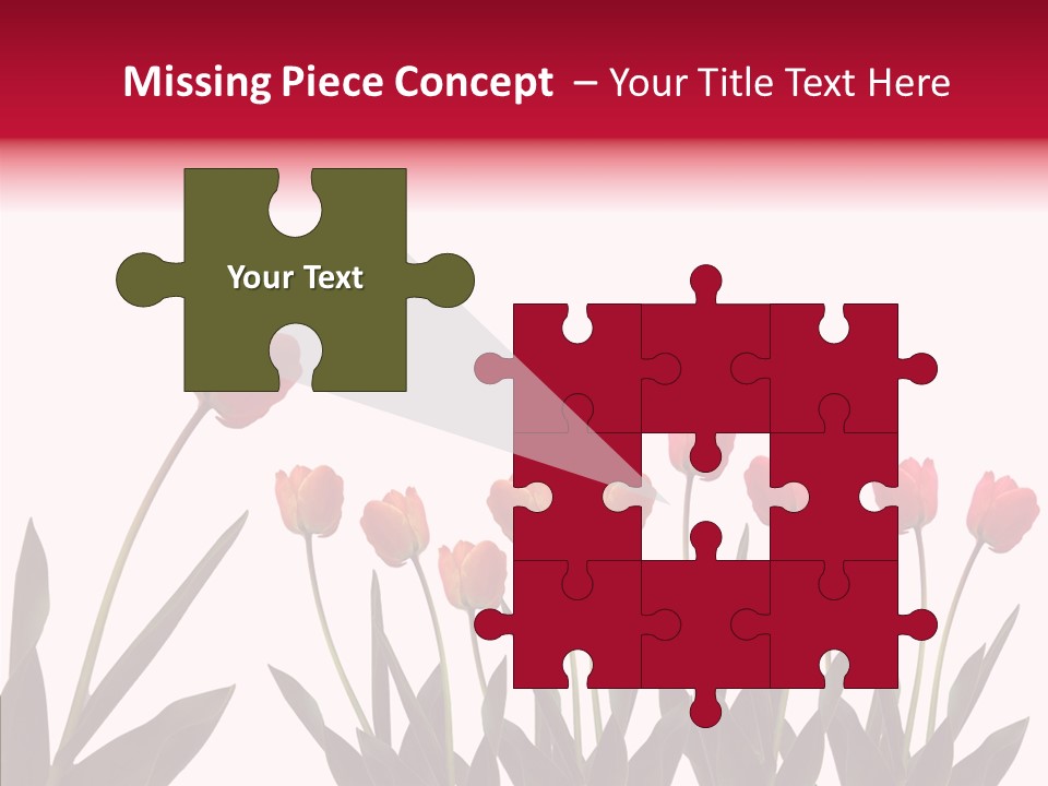 Dutch Isolated Color PowerPoint Template