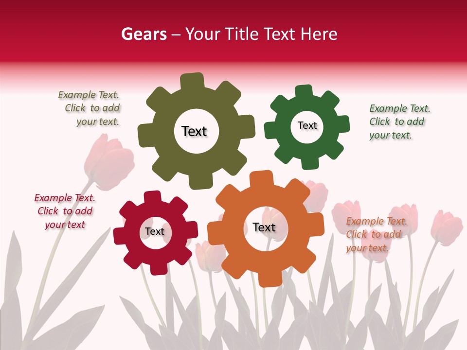 Dutch Isolated Color PowerPoint Template