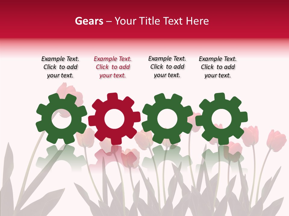 Dutch Isolated Color PowerPoint Template