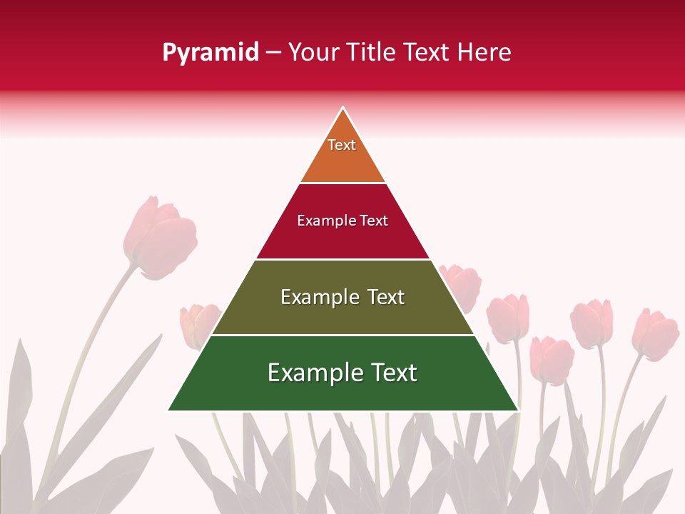 Dutch Isolated Color PowerPoint Template