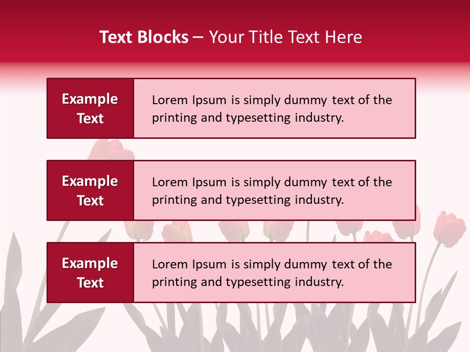 Dutch Isolated Color PowerPoint Template