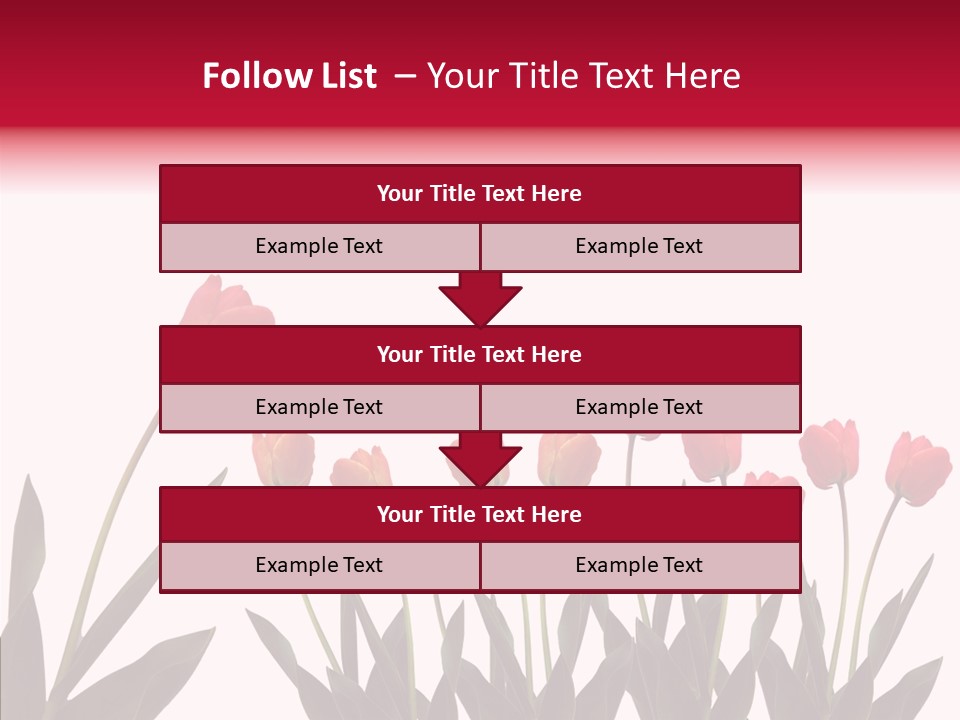 Dutch Isolated Color PowerPoint Template