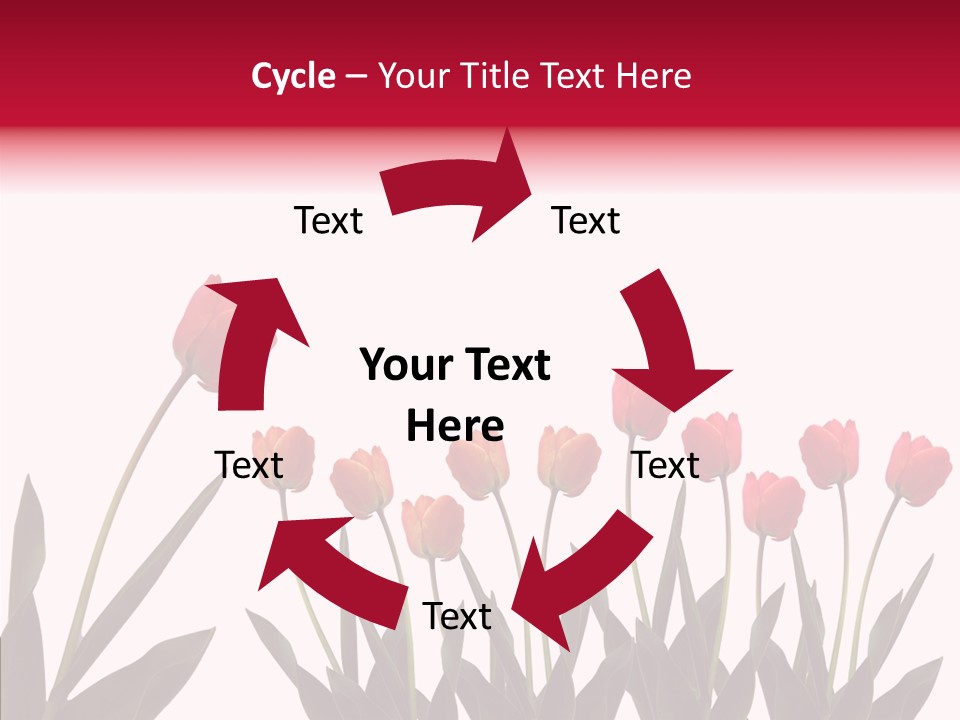 Dutch Isolated Color PowerPoint Template