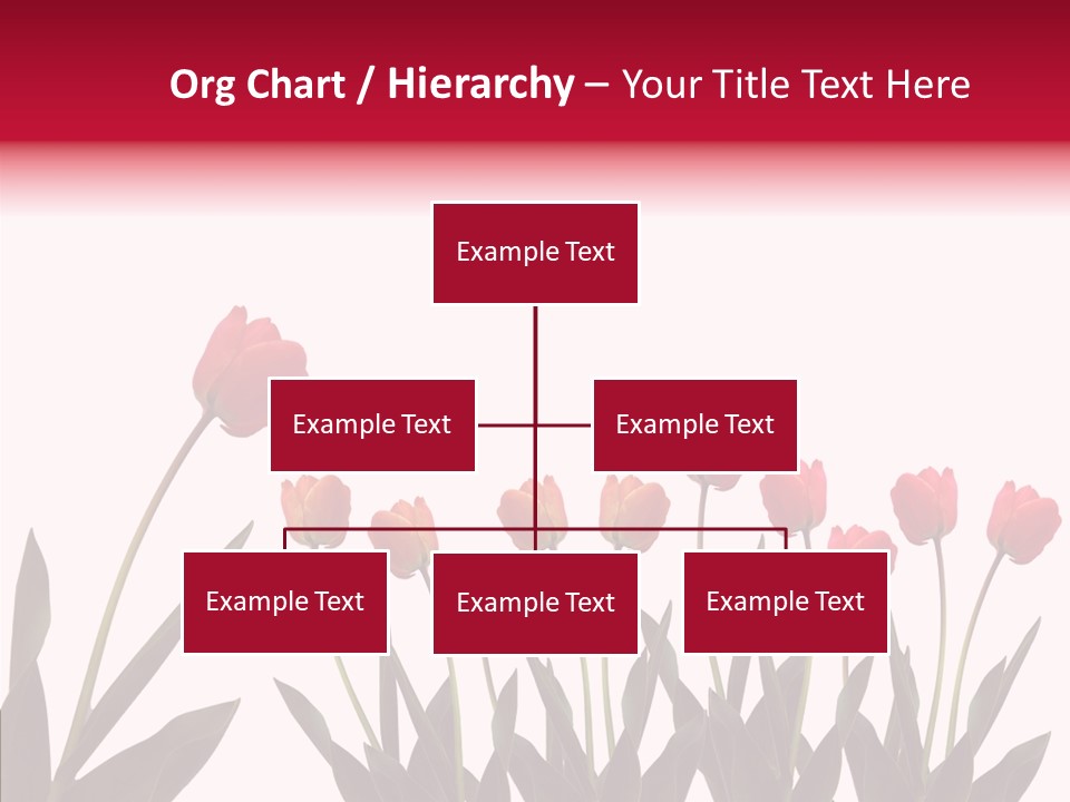 Dutch Isolated Color PowerPoint Template