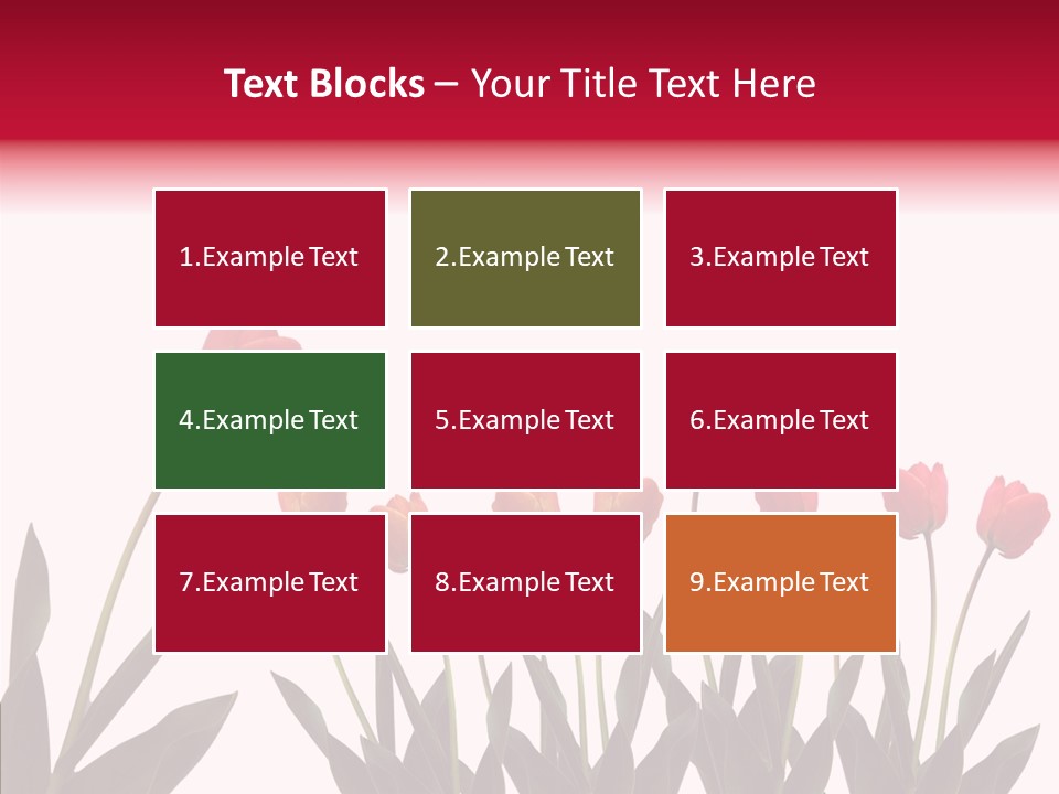 Dutch Isolated Color PowerPoint Template