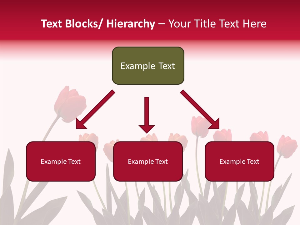 Dutch Isolated Color PowerPoint Template