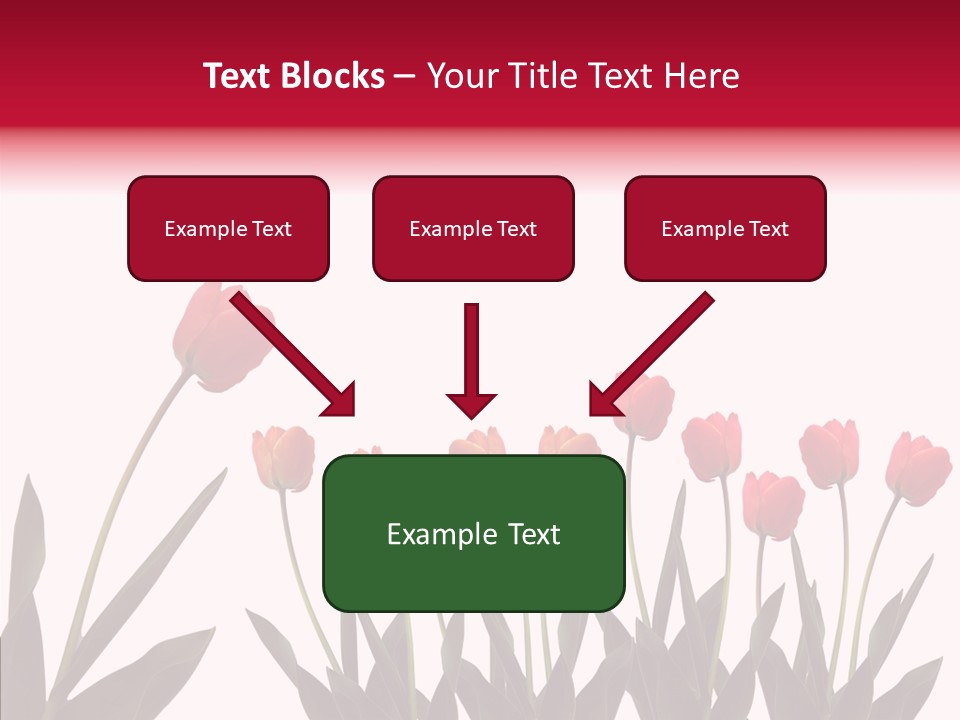 Dutch Isolated Color PowerPoint Template