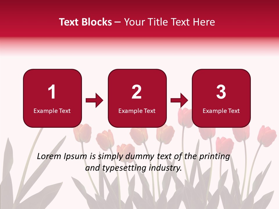 Dutch Isolated Color PowerPoint Template