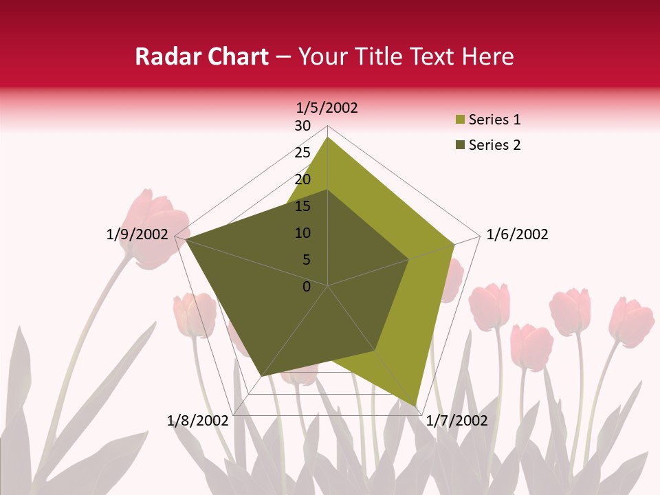 Dutch Isolated Color PowerPoint Template