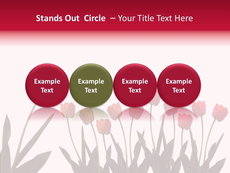 Dutch Isolated Color PowerPoint Template