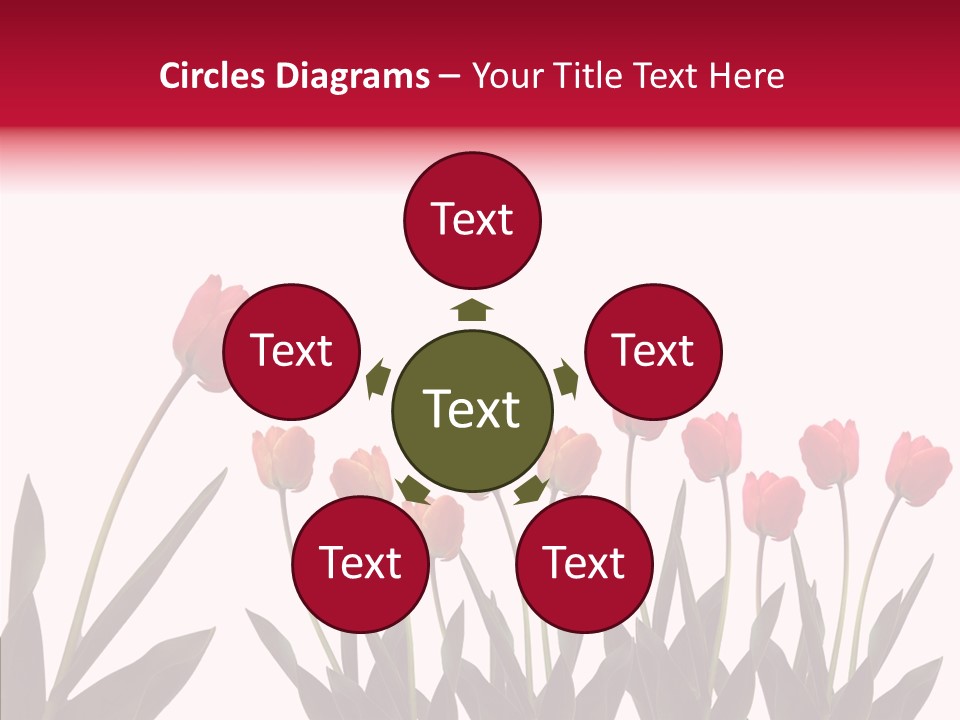 Dutch Isolated Color PowerPoint Template