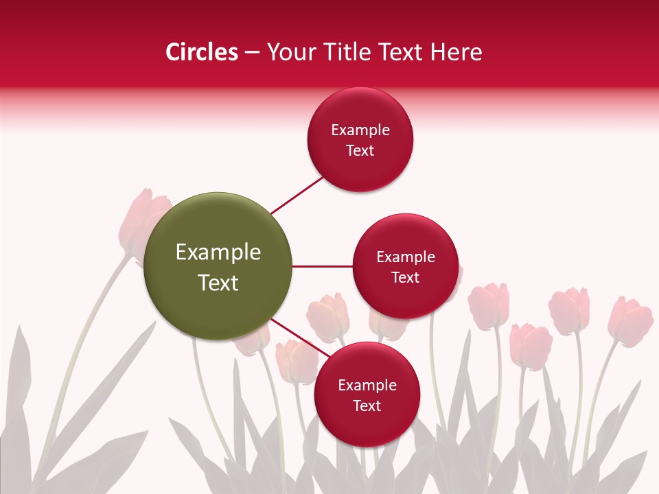 Dutch Isolated Color PowerPoint Template