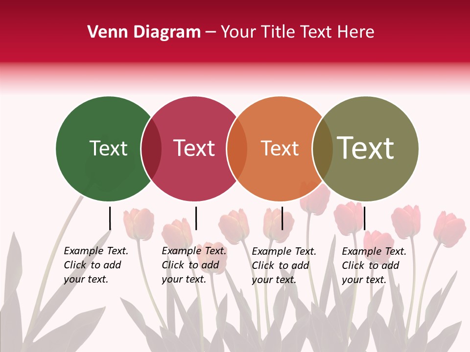 Dutch Isolated Color PowerPoint Template