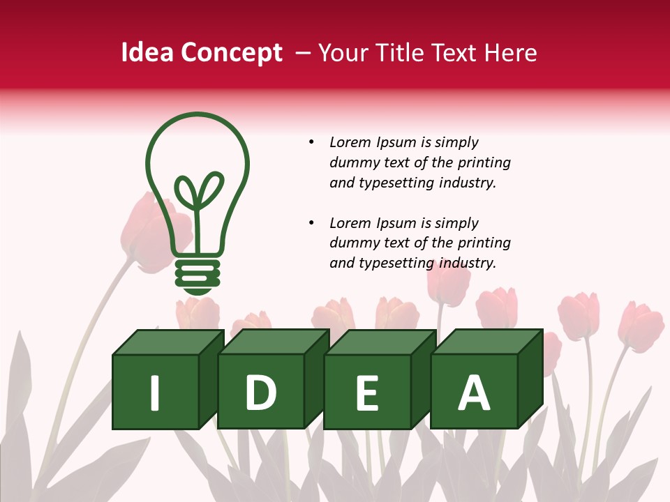 Dutch Isolated Color PowerPoint Template