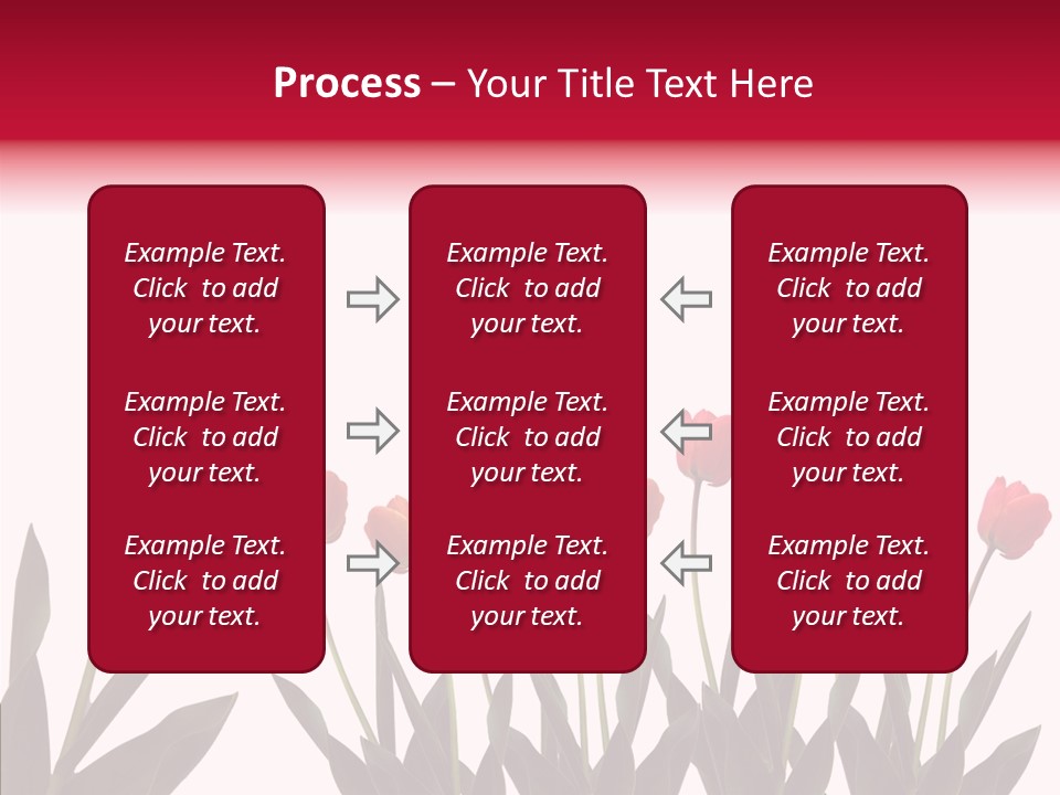 Dutch Isolated Color PowerPoint Template