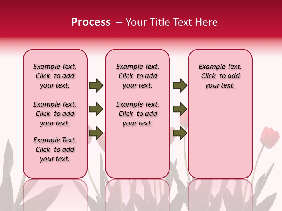Dutch Isolated Color PowerPoint Template