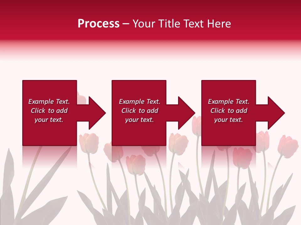Dutch Isolated Color PowerPoint Template