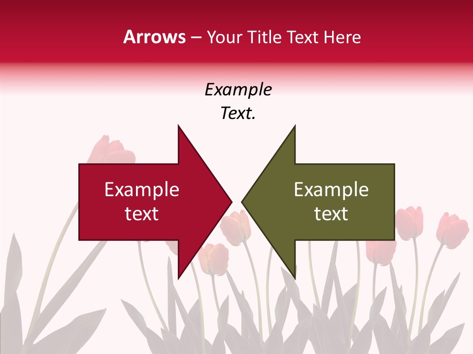 Dutch Isolated Color PowerPoint Template