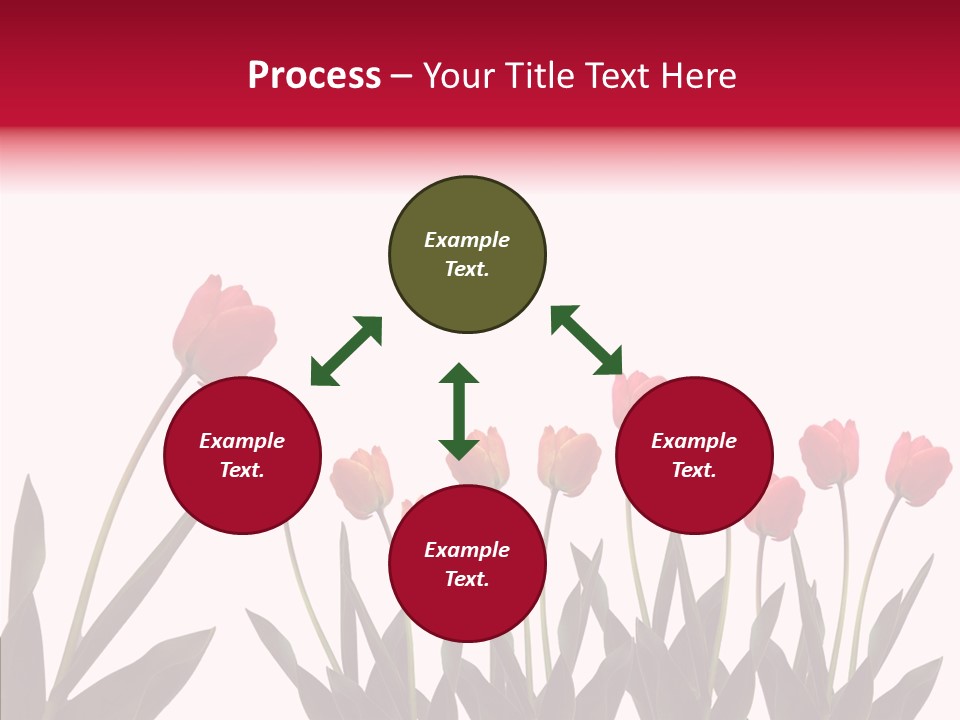 Dutch Isolated Color PowerPoint Template