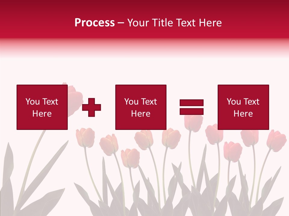 Dutch Isolated Color PowerPoint Template