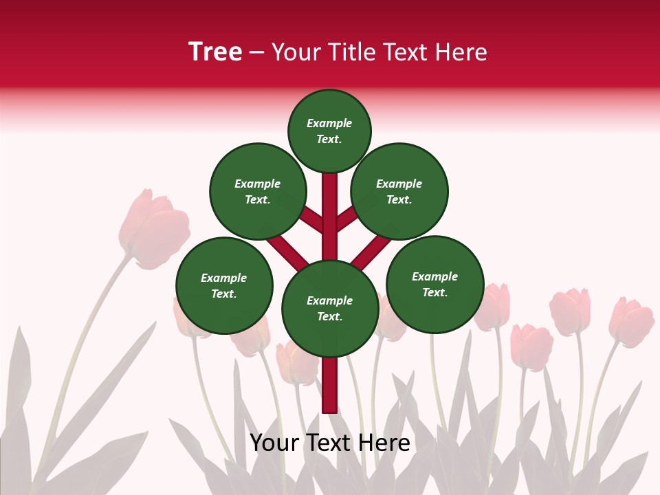 Dutch Isolated Color PowerPoint Template