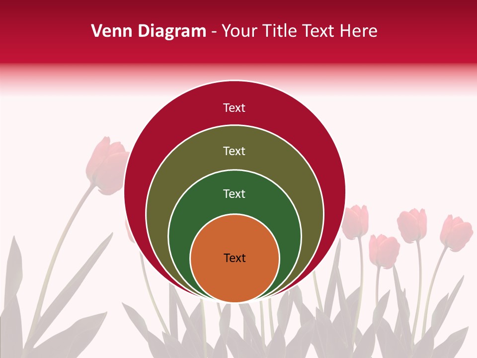 Dutch Isolated Color PowerPoint Template