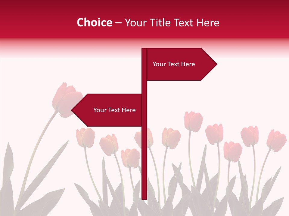 Dutch Isolated Color PowerPoint Template