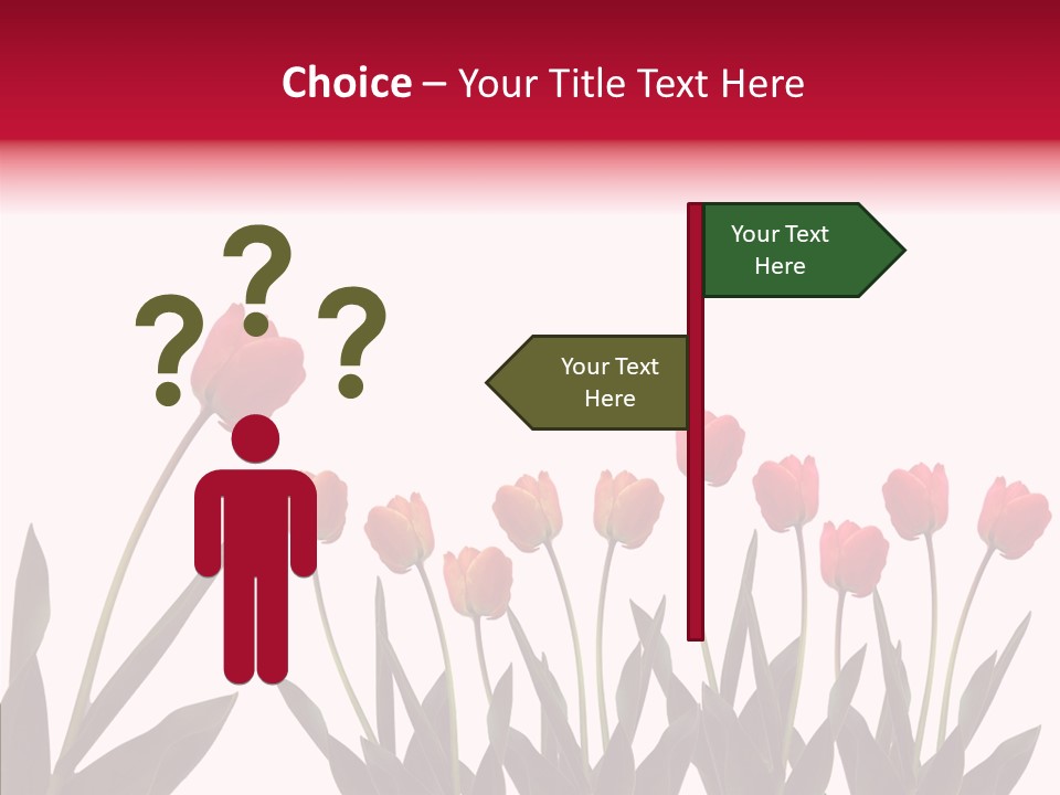 Dutch Isolated Color PowerPoint Template