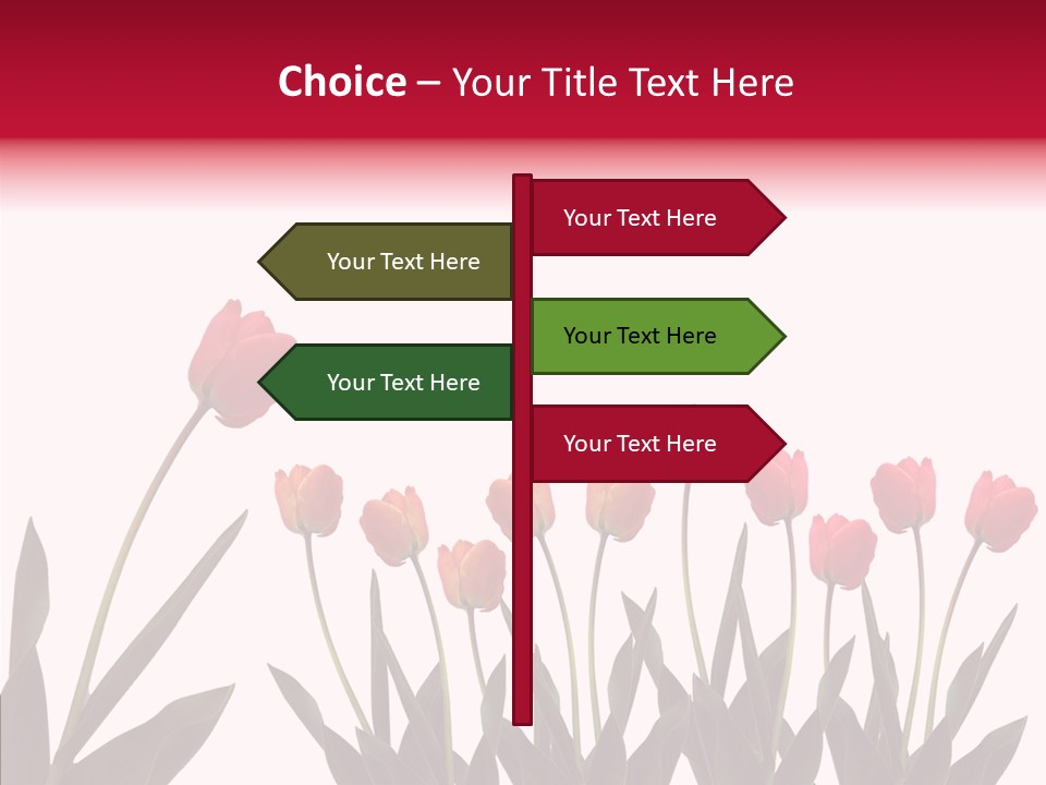 Dutch Isolated Color PowerPoint Template