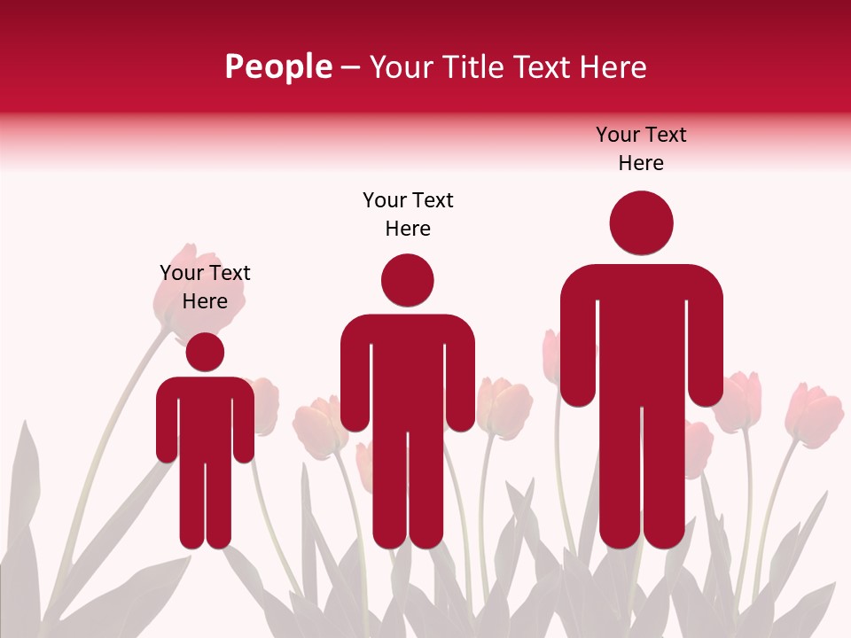 Dutch Isolated Color PowerPoint Template