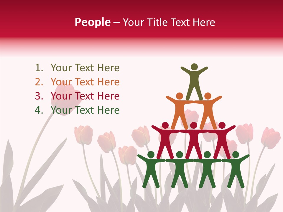 Dutch Isolated Color PowerPoint Template