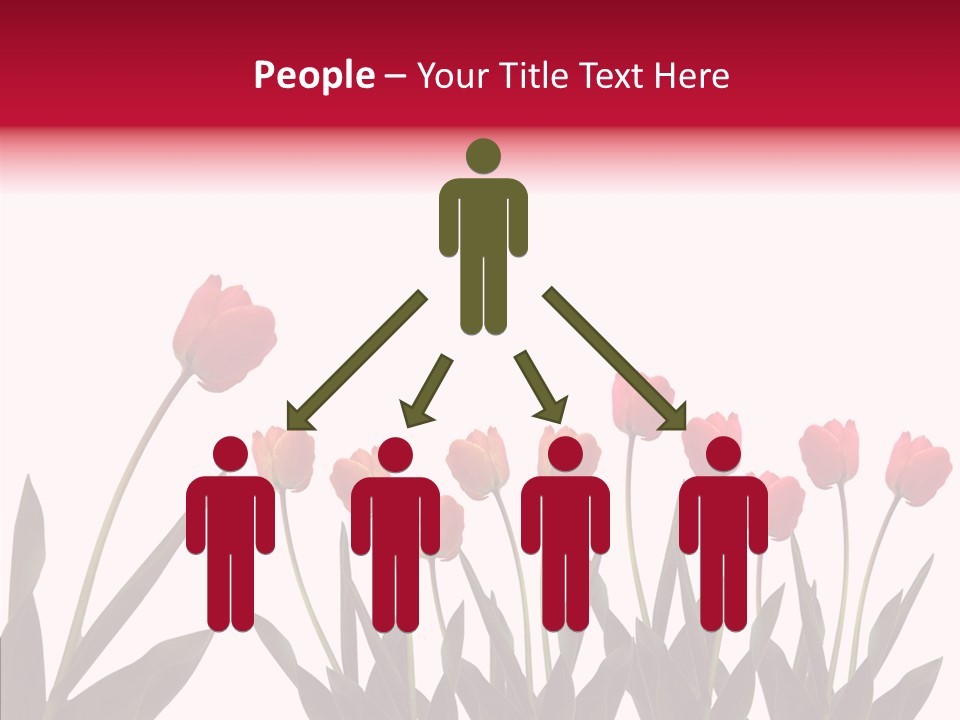 Dutch Isolated Color PowerPoint Template