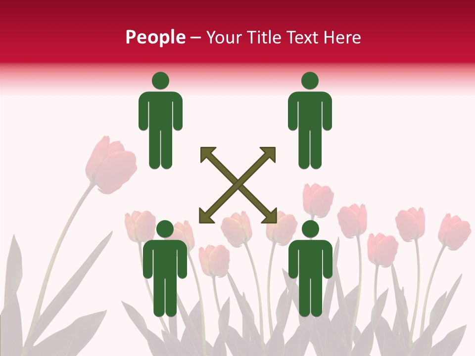 Dutch Isolated Color PowerPoint Template