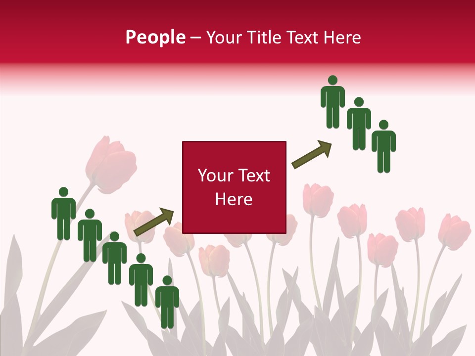 Dutch Isolated Color PowerPoint Template