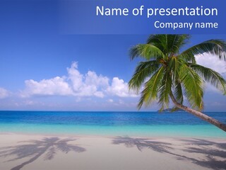 Turquoise Shore Solitude PowerPoint Template