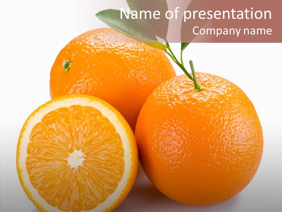 Branch Color Vegetarian PowerPoint Template