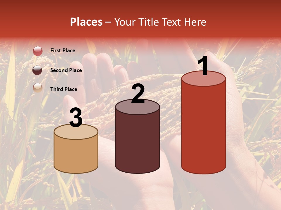 Agriculture Staple Harvest PowerPoint Template